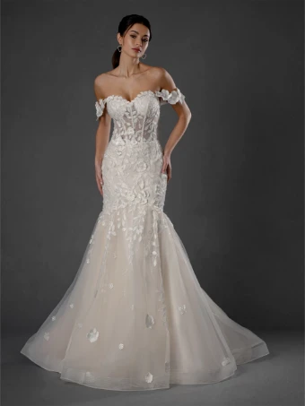 Stella 25568 #0 default thumbnail