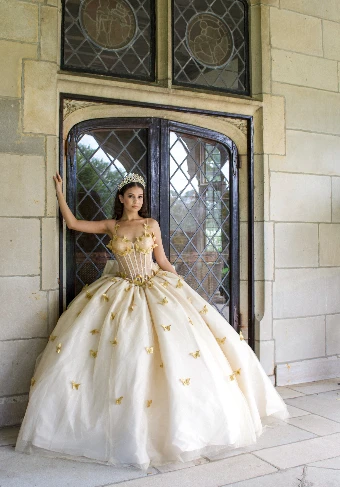 Dancing Queen 1815 #0 thumbnail